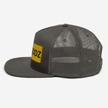 Load image into Gallery viewer, FLY GODZ MESH Snapback
