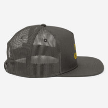 Load image into Gallery viewer, FLY GODZ Snapback
